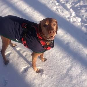 Meet your Posher, John